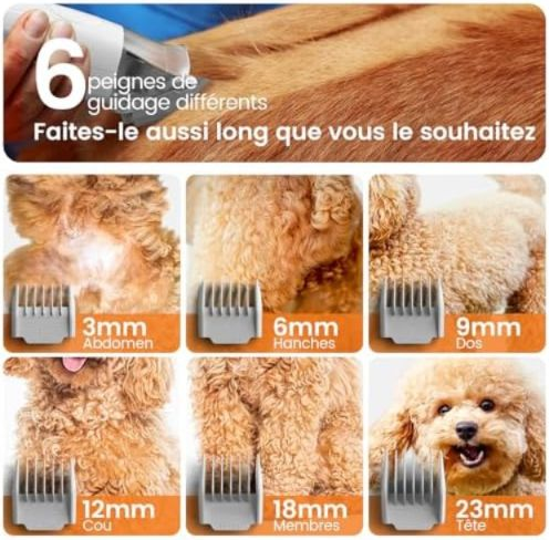 Six sabots de guidage Oneisall présentés sur différents types de pelage canin