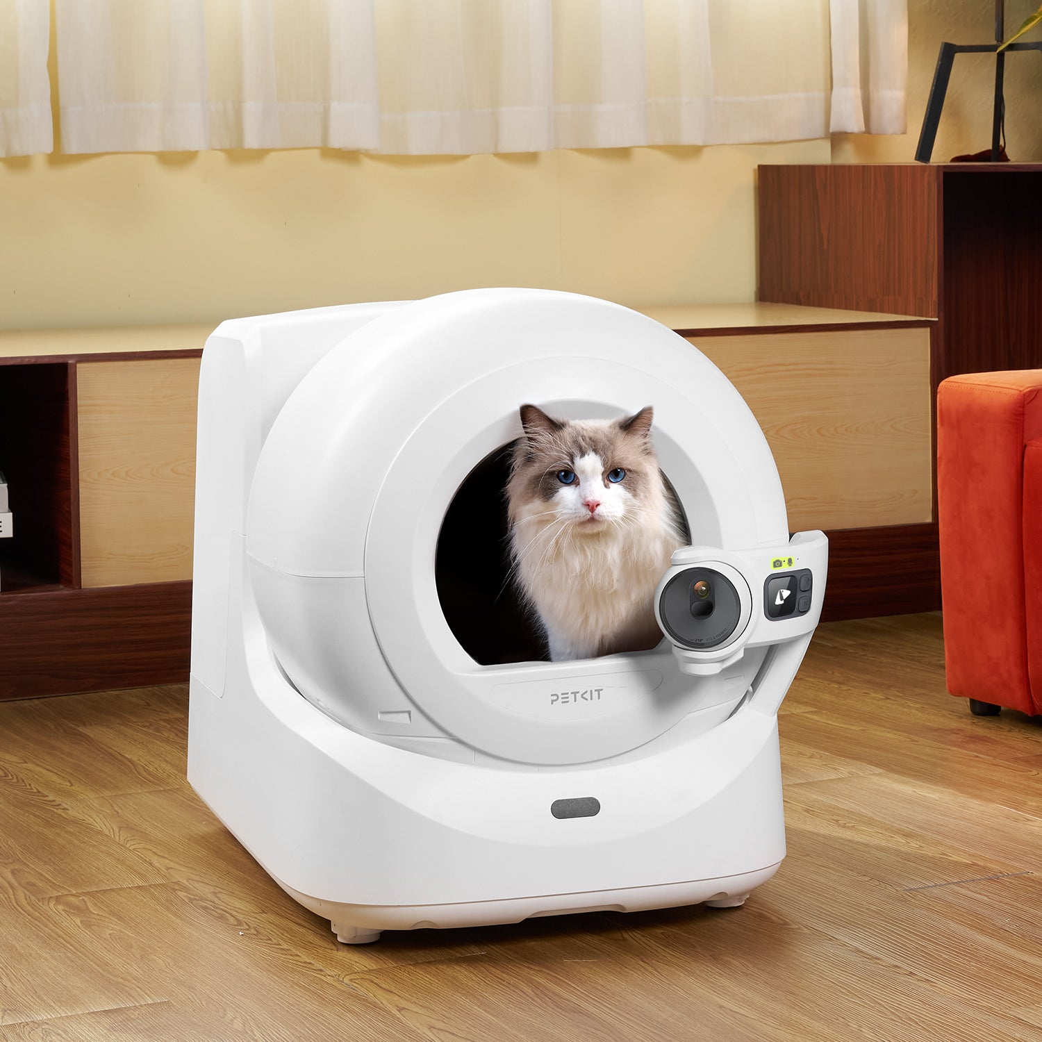 Chat utilisant la PETKIT Purobot Ultra dans une pièce de vie