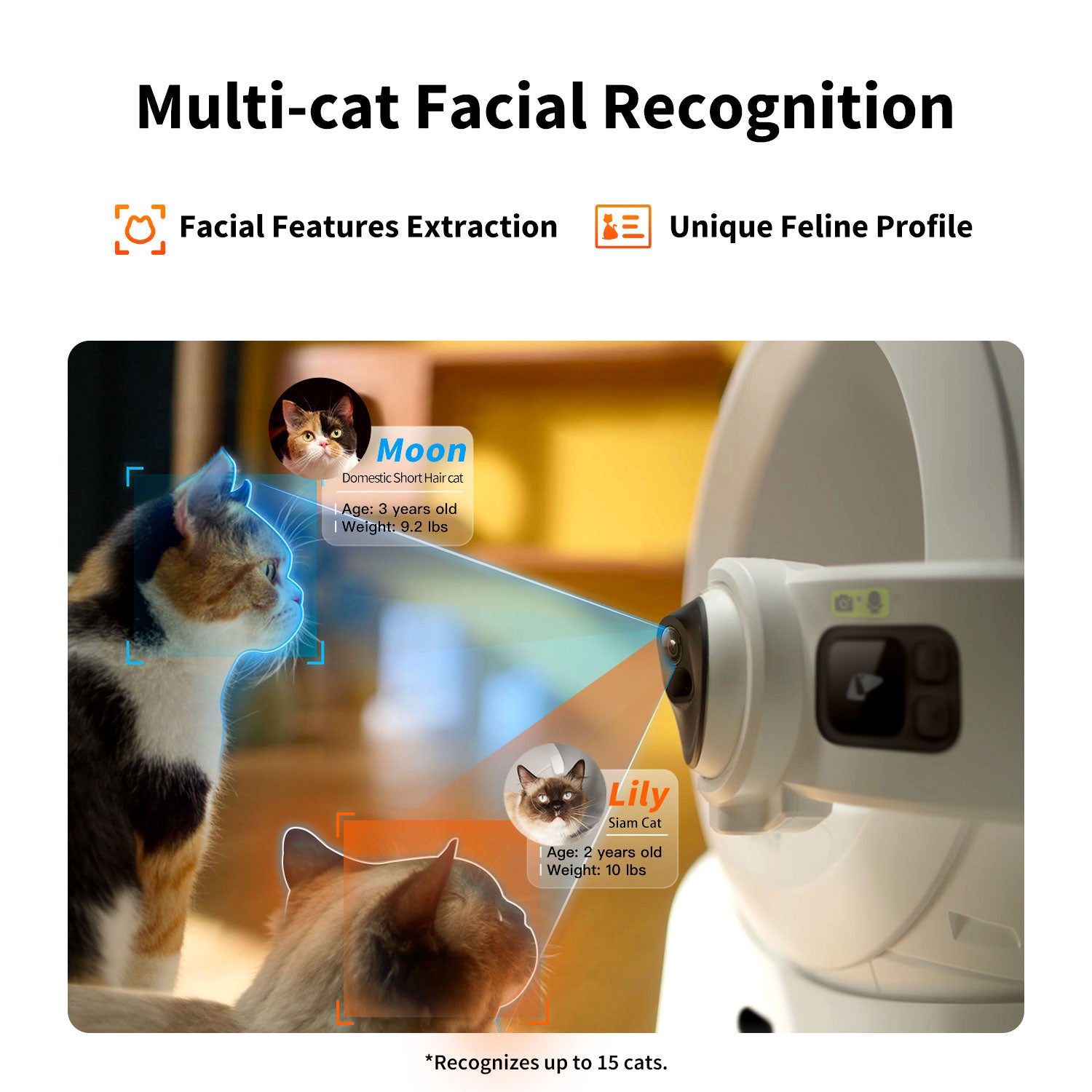 Reconnaissance faciale de plusieurs chats présentée pour la PETKIT Purobot Ultra