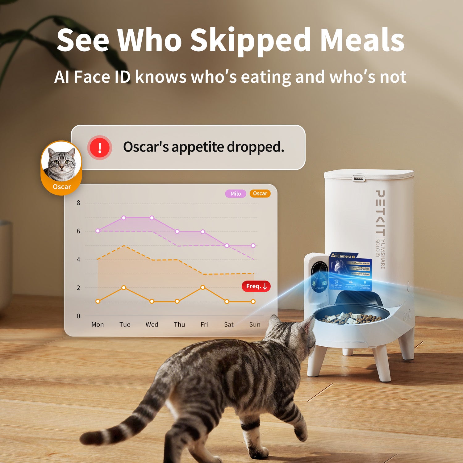 Présentation officielle de la reconnaissance de plusieurs chats par le YumShare Solo 2